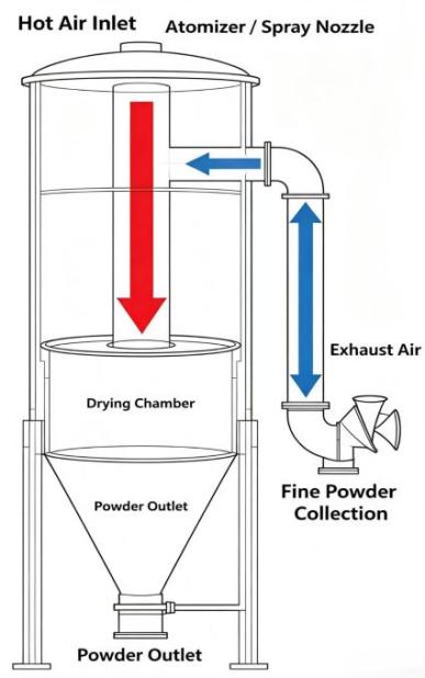 Spray drying process with atomization, hot air contact, and powder collection