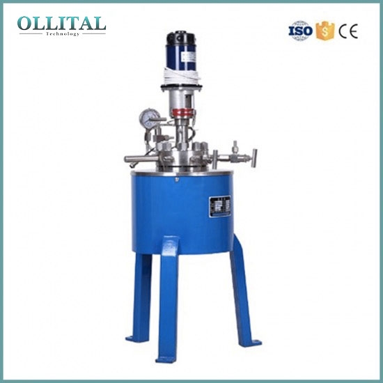 Stainless Steel High Pressure Reactor Autoclave